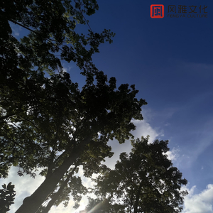 男男Gay做受❌❌高潮羽锡
